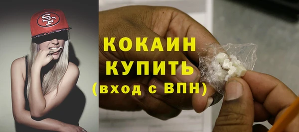индика Абаза
