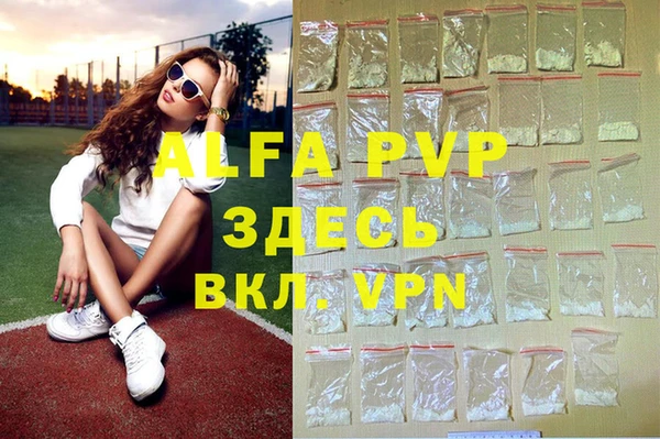 индика Абаза