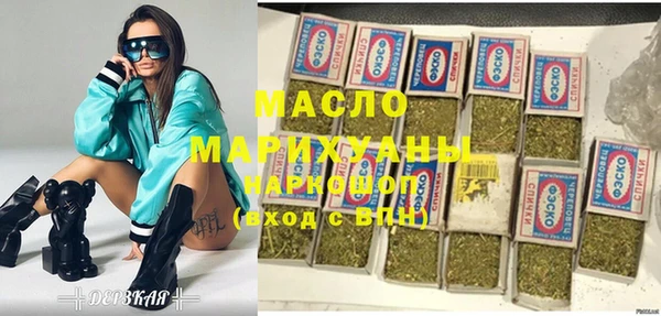 индика Абаза